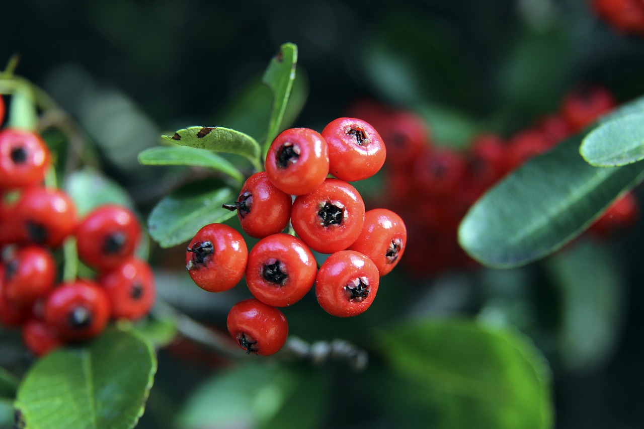 亚洲杯抽签揭晓，三强齐聚死亡之组