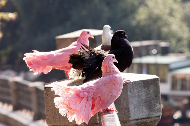 苏亚雷斯：作为主教练我要承担责任，球队有明显的变化和提高