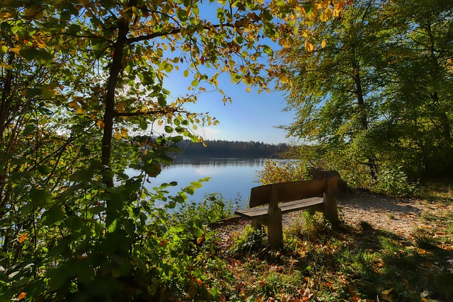 东契奇半场贡献18分，浓眉6分3篮板3助攻